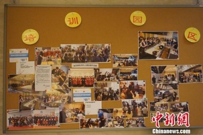 鱼无刺、肉无骨 飞机餐这些讲究很多人不知道