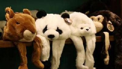 世界动物日：武汉动物园游客“变装”小动物即可免门票