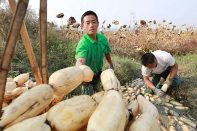 祝贺！2018年全国脱贫攻坚奖揭晓：湖北获5个奖项