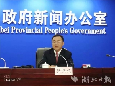 处理207人！湖北强力惩治涉黑涉恶腐败和