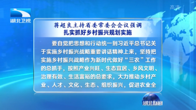 蒋超良：扎实抓好乡村振兴规划实施 下大力气解决突出环境问题