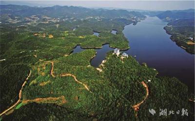 湖北宜昌：1年建成178公里生态廊道