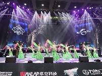 图集：2018ECGC湖北省文化市场行业转型升级电子竞技大赛总决赛现场盛况