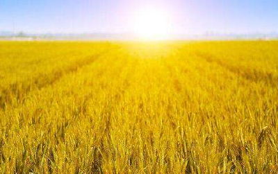 新华网评：“敢”字当头 “干”字为先