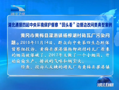 湖北通报四起中央环境保护督察“回头看”边督边改问责典型案例