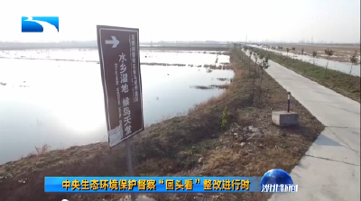 中央生态环境保护督察“回头看”整改进行时 龙感湖：不惜代价治污 留住碧水蓝天