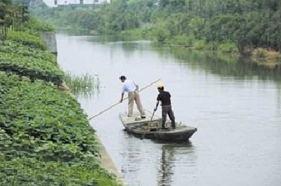 湖北印发河湖长制三年实施方案 2020年将有这些变化