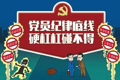 《党组讨论和决定党员处分事项工作程序规定（试行）》印发