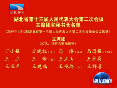 V视 | 湖北省第十三届人民代表大会第二次会议主席团和秘书长名单