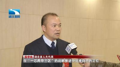 湖北省人大代表：做新时代的“追梦人”