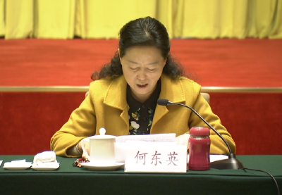湖北省人大代表何东英：建议省检察院充分履行监督职能