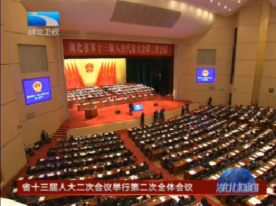 V视 | 湖北省十三届人大二次会议举行第二次全体会议