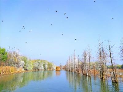 湖北10处国家湿地公园试点顺利