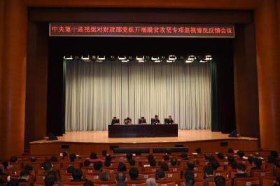 脱贫攻坚专项巡视亮问题清单 扶贫通病被巡视组点出