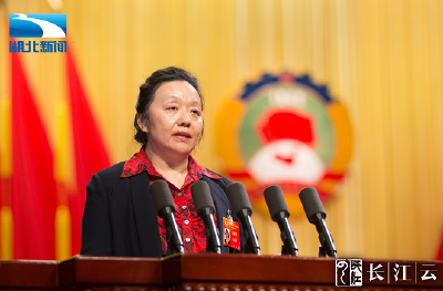 湖北省政协委员范道宠：加强荆州古城保护传承荆楚文脉