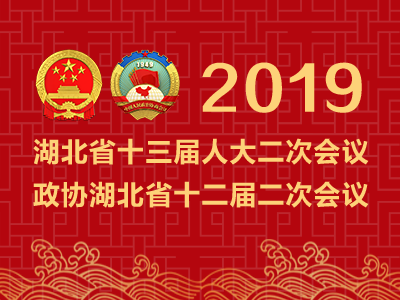 王晓东：坚定不移走生态优先绿色发展之路 争当长江经济带高质量发展生力军