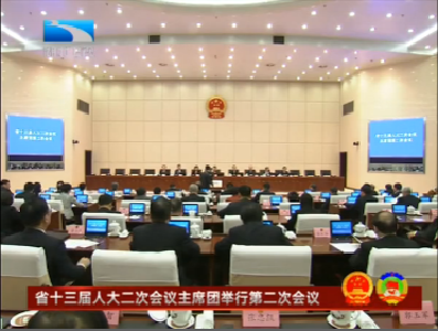 V视 | 湖北省十三届人大二次会议主席团举行第二次会议