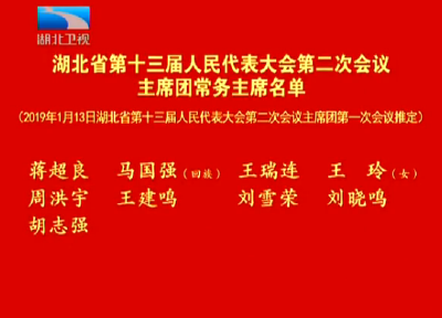 V视 | 湖北省第十三届人民代表大会第二次会议主席团常务主席名单