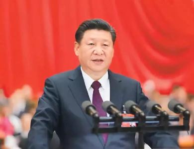 有关全面依法治国，习近平的这些论述切中要害
