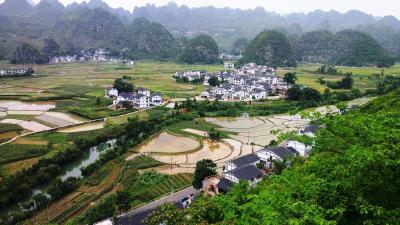 湖北省将全面推进美丽乡村建设 今年将重点打造1000个美丽乡村示范村