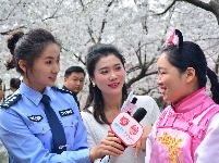 组图 | 樱花烂漫时，平安湖北来