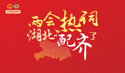 H5 | 2019全国两会热词，湖北“配齐”了！
