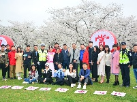 组图 | 樱花烂漫时，平安湖北来