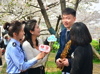 组图 | 樱花烂漫时，平安湖北来