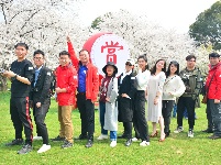 组图 | 樱花烂漫时，平安湖北来