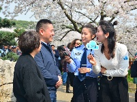 组图 | 樱花烂漫时，平安湖北来
