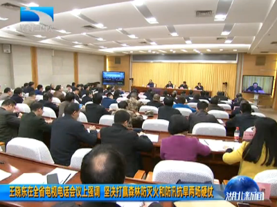 V视 | 王晓东在全省电视电话会议上强调 坚决打赢森林防灭火和防汛抗旱两场硬仗