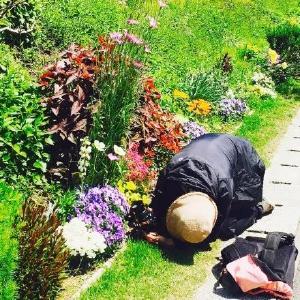 好不容易盼来了春花烂漫，你却不会拍照？这8招学起来