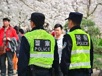 组图 | 樱花烂漫时，平安湖北来