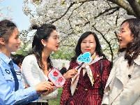 组图 | 樱花烂漫时，平安湖北来