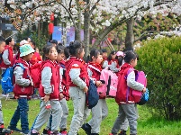 组图 | 樱花烂漫时，平安湖北来