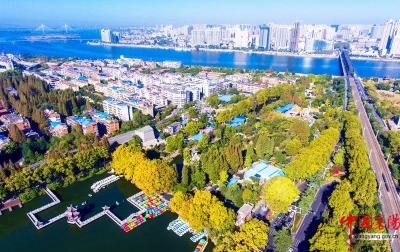 湖北17市州这份“年度成绩单”，11地得分过90分！