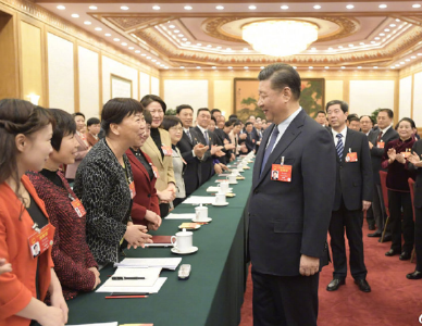 在河南代表团，习近平详谈这项“具有特殊重要性”的工作