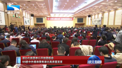 V视丨湖北代表团举行开放团组会 99家中外媒体聚焦湖北高质量发展