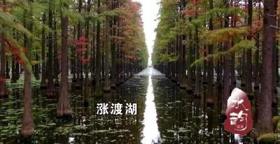 武汉哪个湖的水质最好？湖泊体检报告告诉你