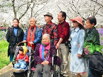 组图 | 樱花烂漫时，平安湖北来