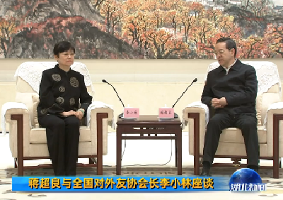 V视 | 蒋超良与全国对外友协会长李小林座谈