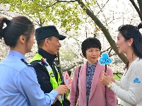 组图 | 樱花烂漫时，平安湖北来