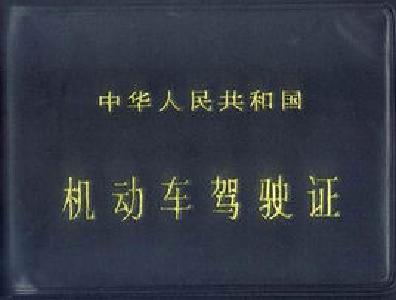 人大代表提出新建议取消机动车驾驶证？！