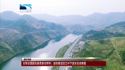 多名住鄂全国政协委员联名呼吁：加快推进汉江中下游水生态修复