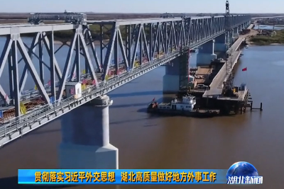 V视 | 贯彻落实习近平外交思想 湖北高质量做好地方外事工作