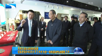 V视｜尤权在湖北调研时强调 切实把党外知识分子工作作为统一战线基础性战略性工作
