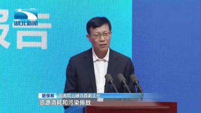 V视 | 专家学者建言长江经济带高质量发展