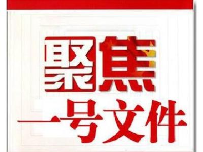 2019年湖北省委一号文件公布，年内出台乡村振兴战略实绩考核意见
