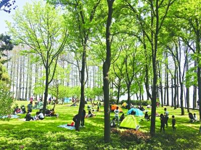 70万人赏东湖 近三成是外地客 他们最爱绿道、欢乐谷和磨山