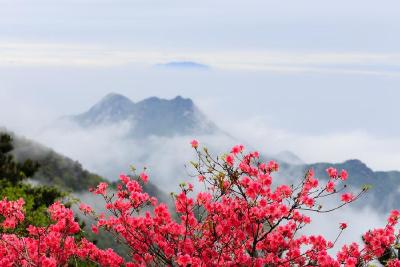 文旅部门建议：“花点时间  惠游湖北” 错峰抢票 多样性体验